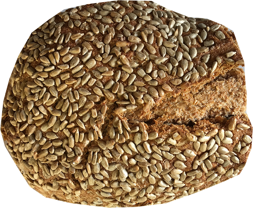 vollkornbaeckerei-breimhorst - Sonnenblumen vollkornbaeckerei-breimhorst - Sonnenblumen